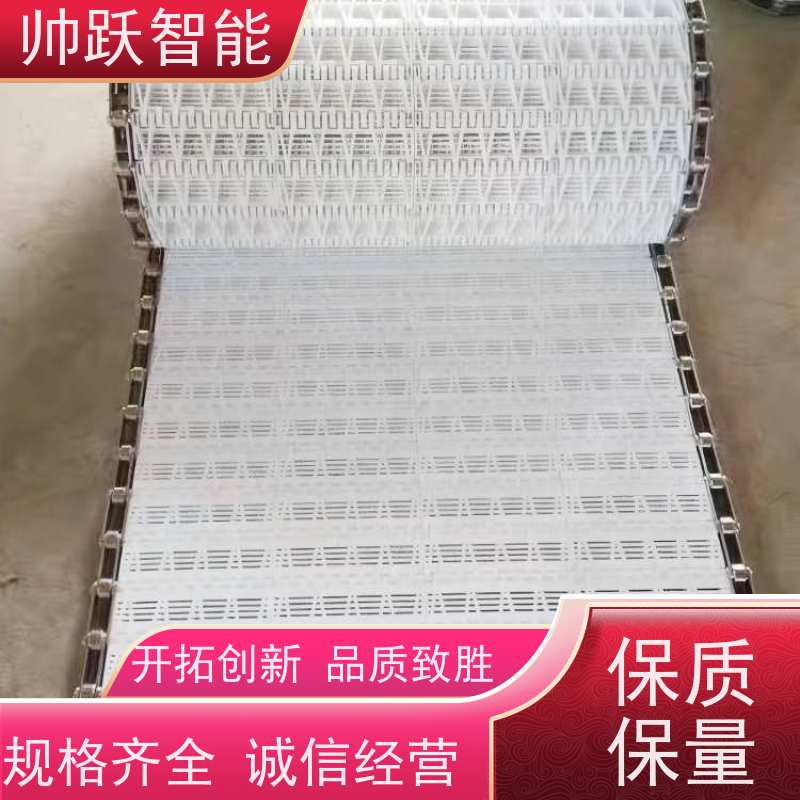 帅跃智能 洗碗机输送带 转弯机塑料链板 品质可靠 按图定制