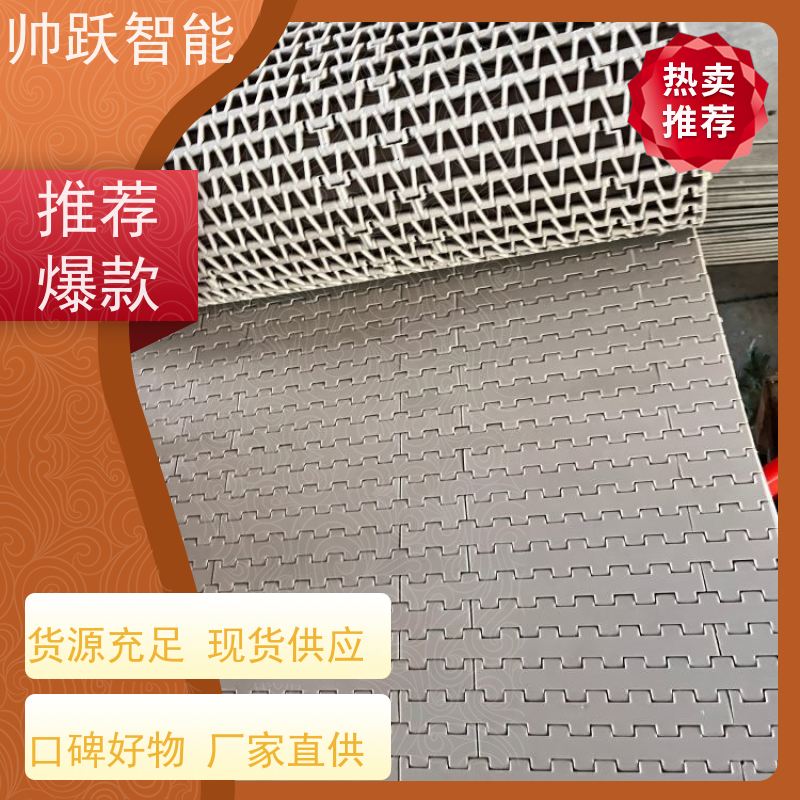 帅跃智能 塑料尼龙筛网过滤输送带 提盖机链板 适用于工业行业