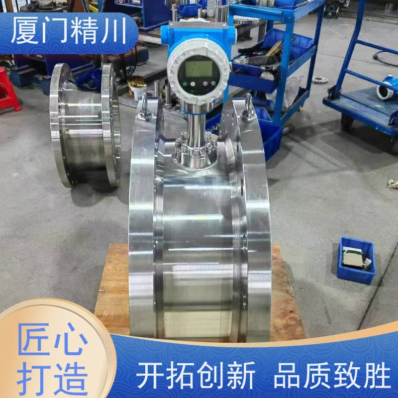 精川 发生炉煤气 插入式靶式流量计 专测高粘度介质 性能稳定
