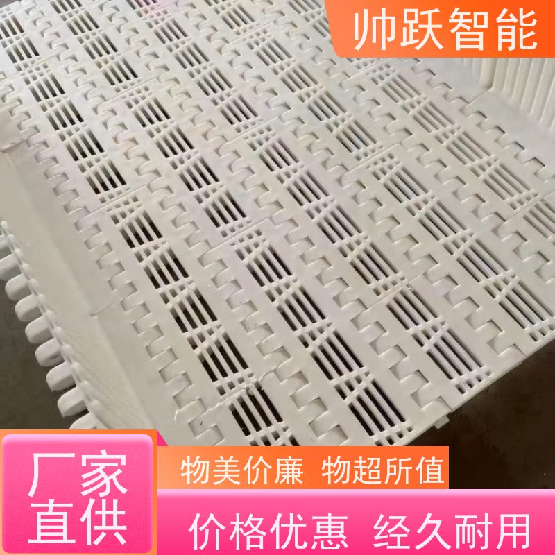 帅跃智能 食品输送带经久耐用 水产分拣塑料链板 支持加工定制