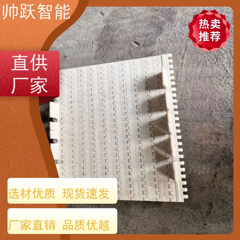 帅跃智能 纸张印刷流水线 提盖机链板 摩擦系数小