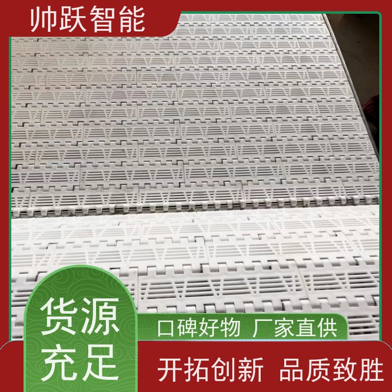 帅跃智能 食品输送带经久耐用 提盖机链板 工业专用 运行稳定