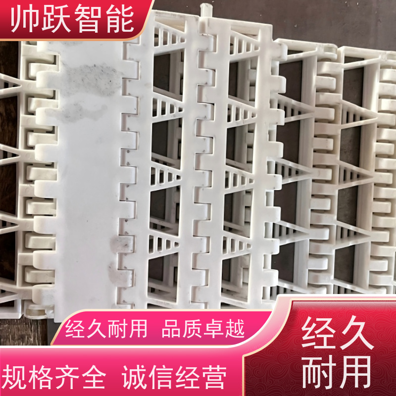 帅跃智能 果蔬清洗输送带 转弯机塑料链板 工业专用 运行稳定