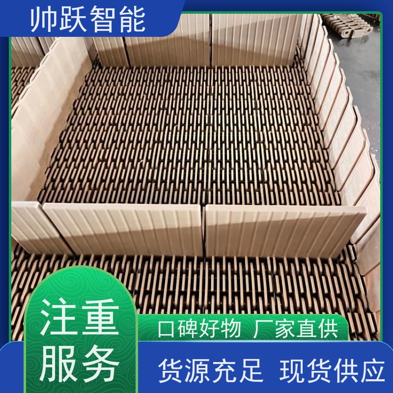 帅跃智能 果蔬清洗输送带 OPB圆孔塑料链板 品质可靠 按图定制