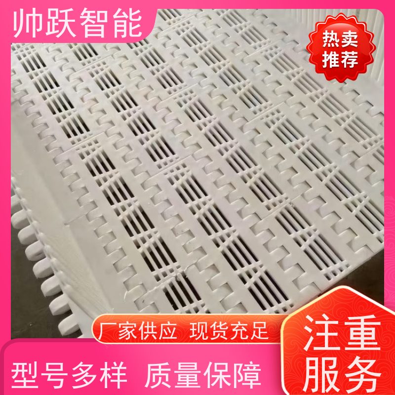 帅跃智能 巴氏消毒输送带 瓶盖塑料链板 防粘性佳耐腐蚀