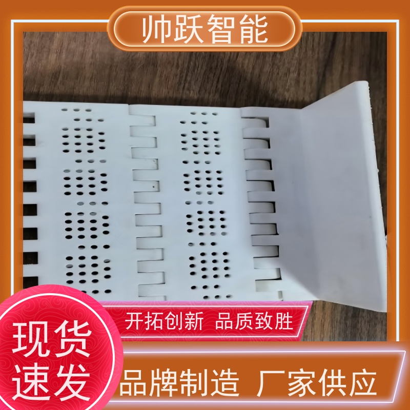 帅跃智能 饮料包装生产流水线 OPB圆孔塑料链板 摩擦系数小
