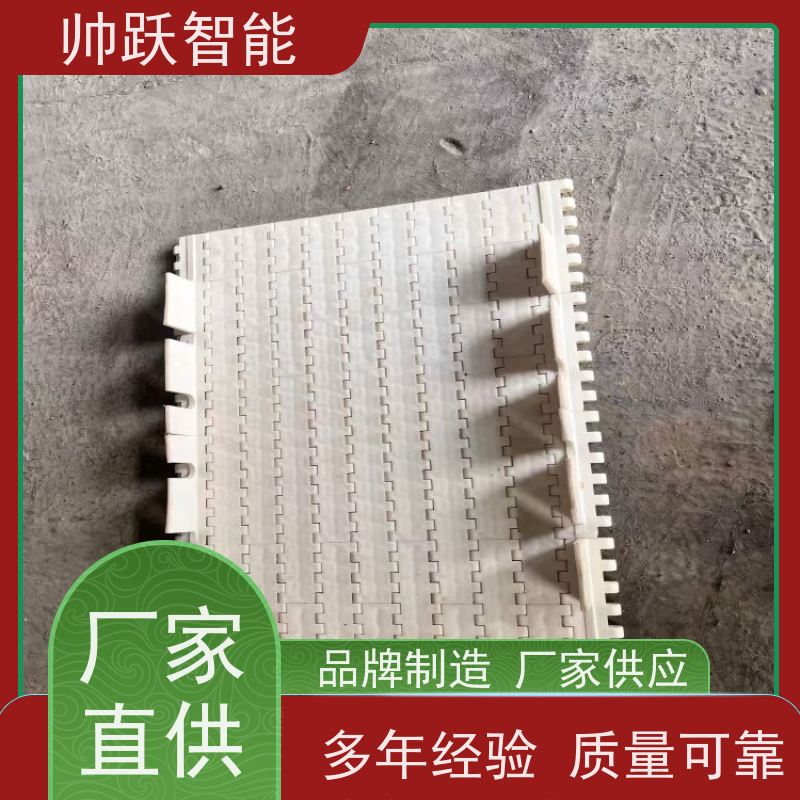 帅跃智能 粮食加工提升输送带 瓦楞纸箱塑料链板 适用于工业行业