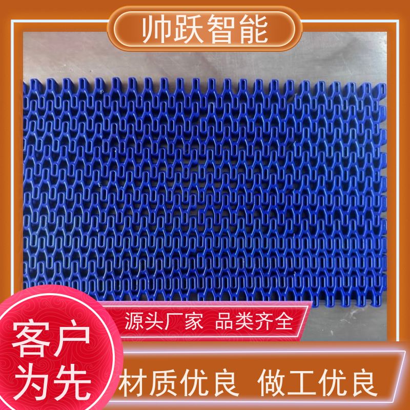 帅跃智能 洗碗机输送带 瓦楞纸箱塑料链板 品质可靠 按图定制
