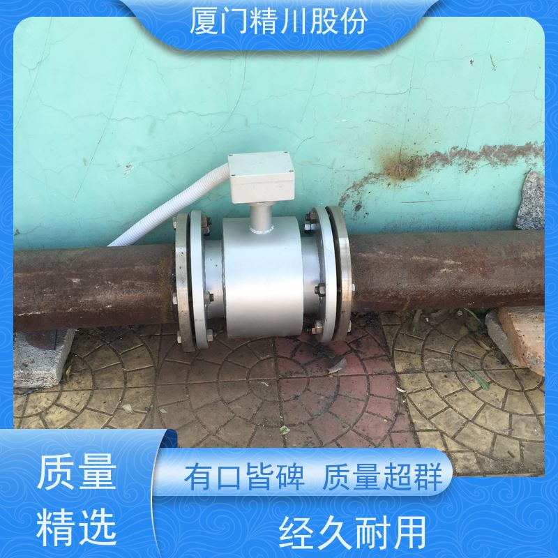 精川制药行业PAM加注流量计测量下限3L/H工作时间长