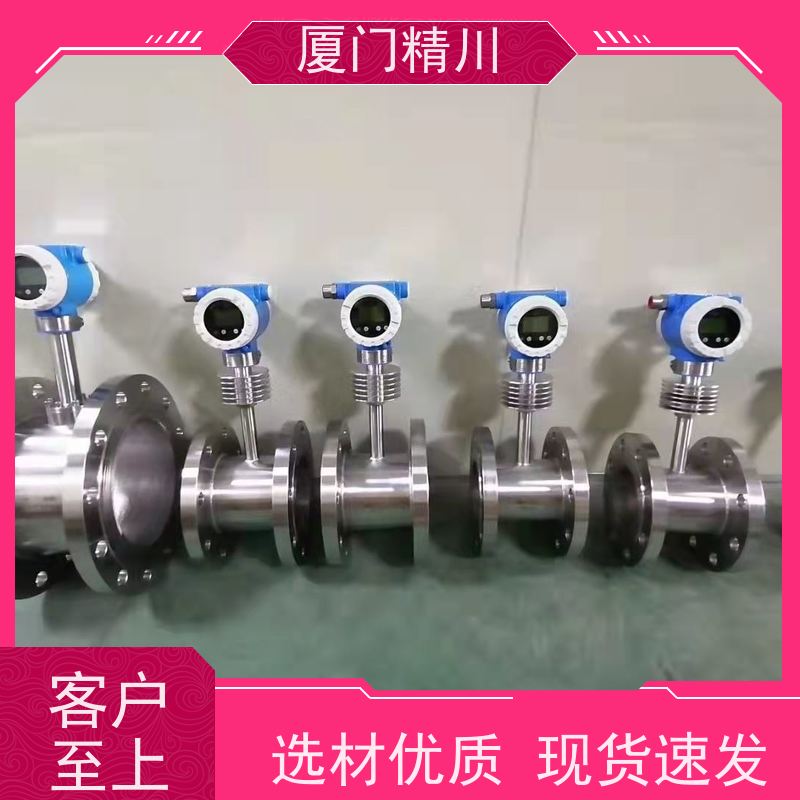 精川股份 石蜡 卡箍式靶式流量计 可测含杂质介质 性能稳定