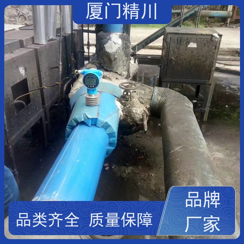 精川 菜油 卡箍式靶式流量计 可测含杂质介质 支持定制