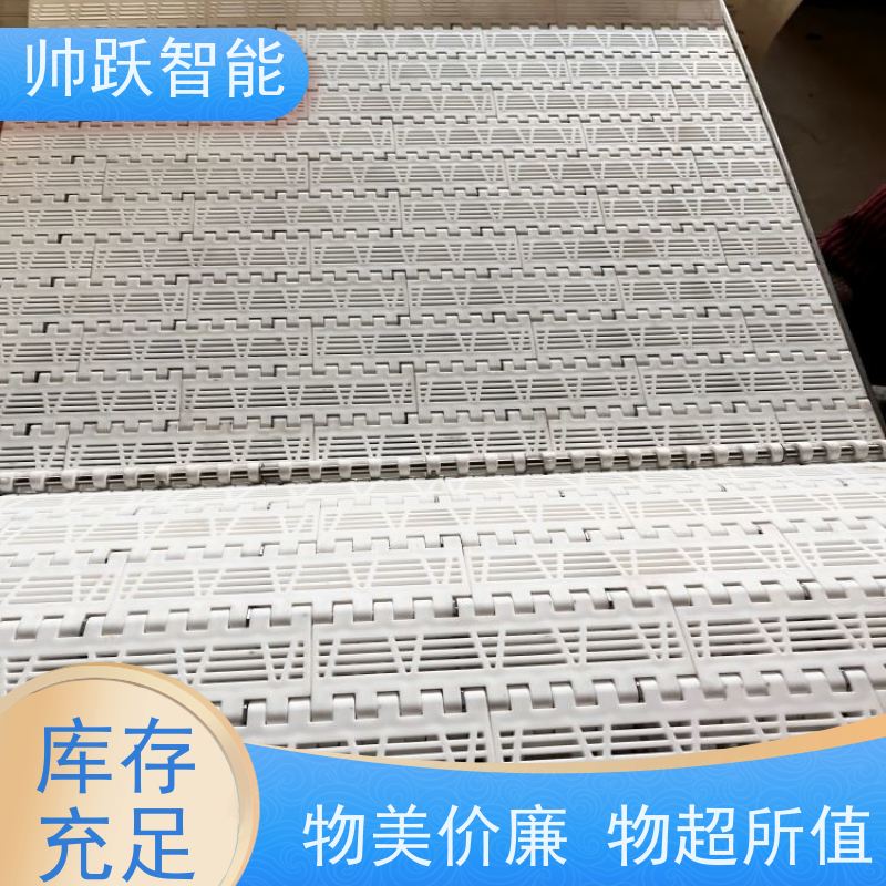 帅跃智能 pp挡板式塑料网带 提盖机链板 防粘性佳耐腐蚀