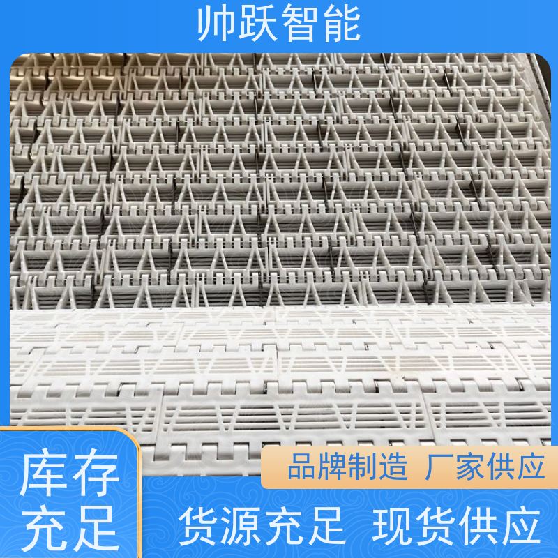 帅跃智能 粮食加工提升输送带 水产分拣塑料链板 品质可靠 按图定制