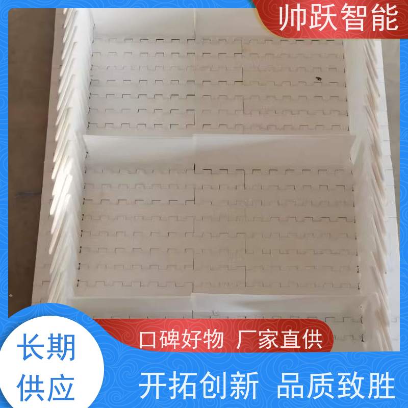 帅跃智能 巴氏消毒输送带 瓶盖塑料链板 支持加工定制