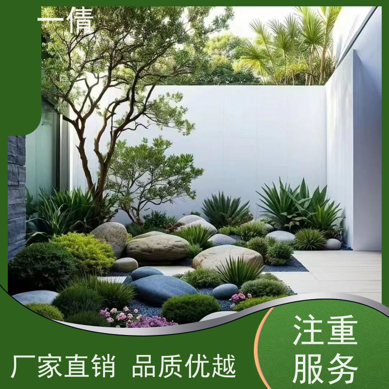 一倩花卉 室内 墨兰 绿植出售 全城配送 上门养护