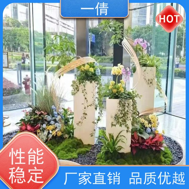 一倩花卉 前台 爱心榕 绿植租摆 种类繁多 规格齐全