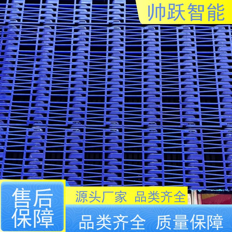 帅跃智能 快递分拣流水线 肉类屠宰塑料链板 防粘性佳耐腐蚀