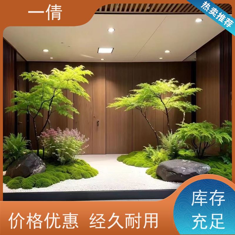 一倩花卉 室内 满堂红 绿植租摆 种类繁多 规格齐全