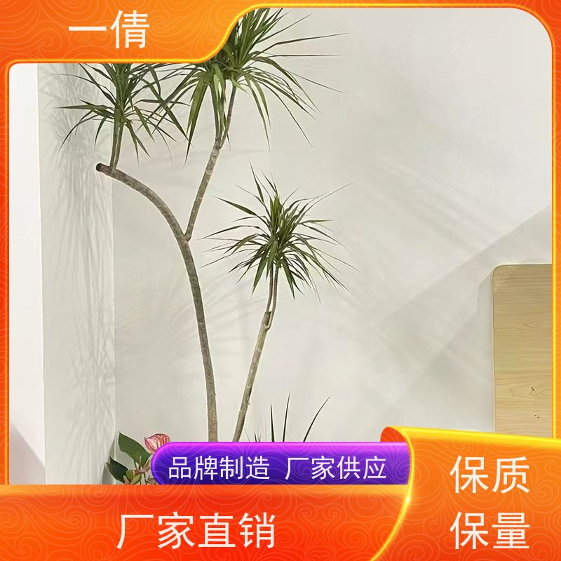 一倩花卉 前台 满堂红 开业花篮租赁 种类繁多 规格齐全
