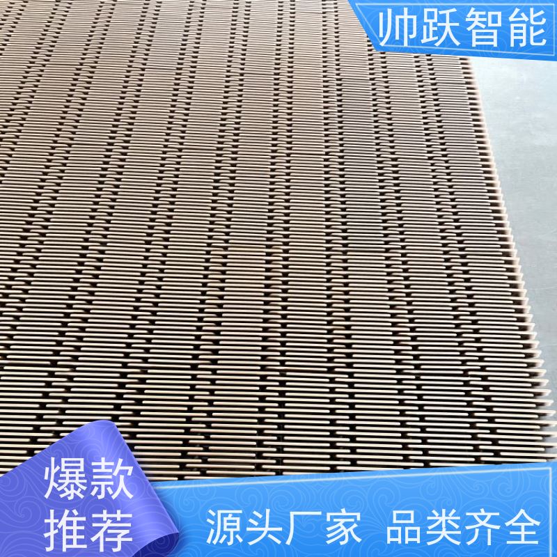 帅跃智能 烘干线塑料网链 提盖机链板 品质可靠 按图定制