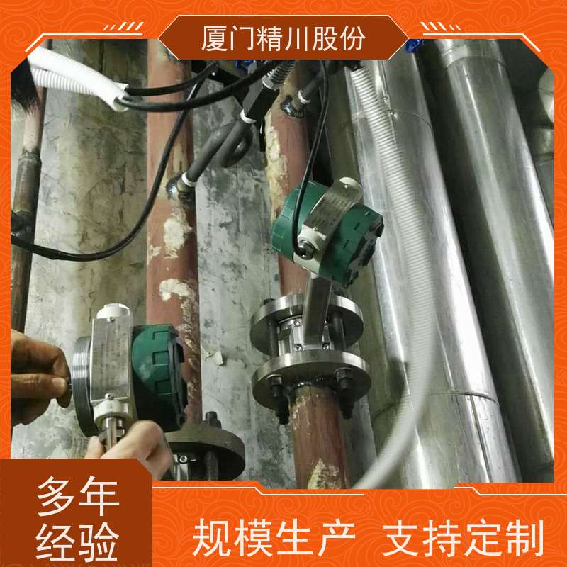 精川股份 纺织厂 压缩空气流量计 一体式温压补偿 服务量少