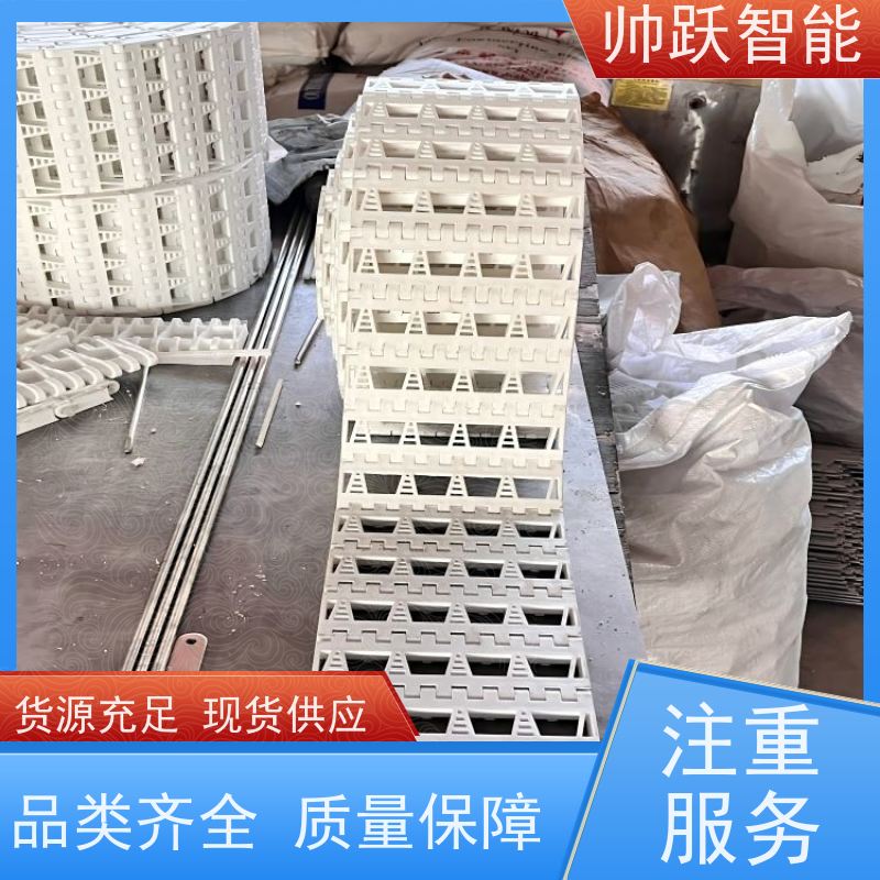帅跃智能 巴氏消毒输送带 食品级塑料链板 防粘性佳耐腐蚀