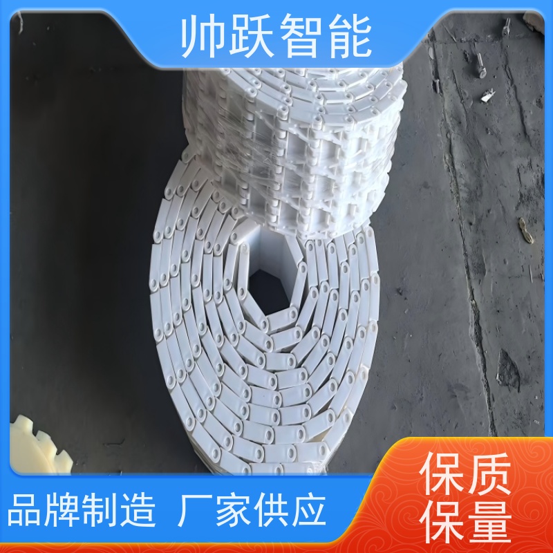 帅跃智能 快递分拣流水线 瓶盖塑料链板 工业专用 运行稳定