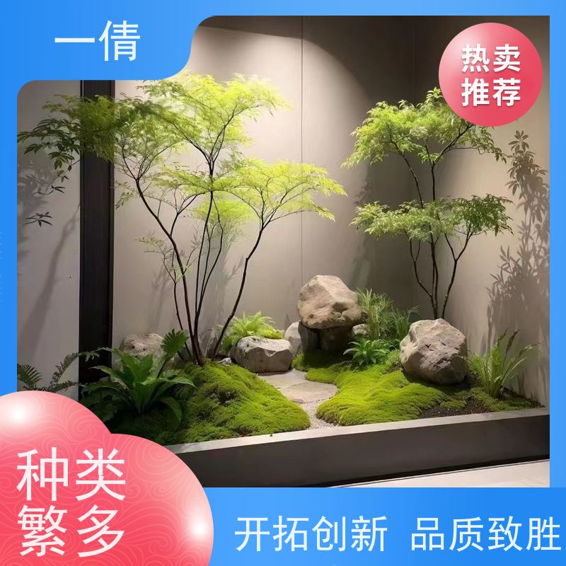 一倩花卉 室内 石斛 开业花篮租赁 全城配送 上门养护