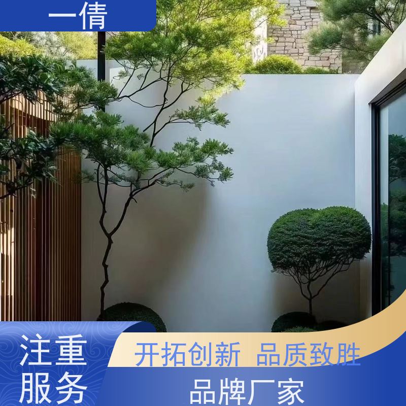 一倩花卉 办公室 春雨 花卉租赁 桌面绿植 花木护理