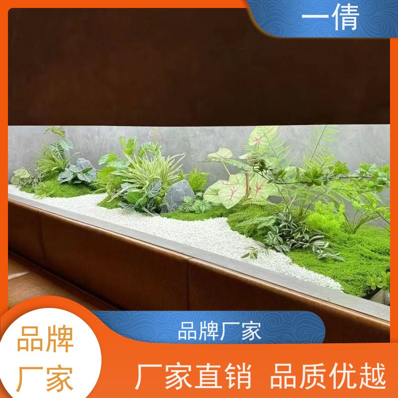一倩花卉 办公室 金心铁 花卉租赁 桌面绿植 花木护理