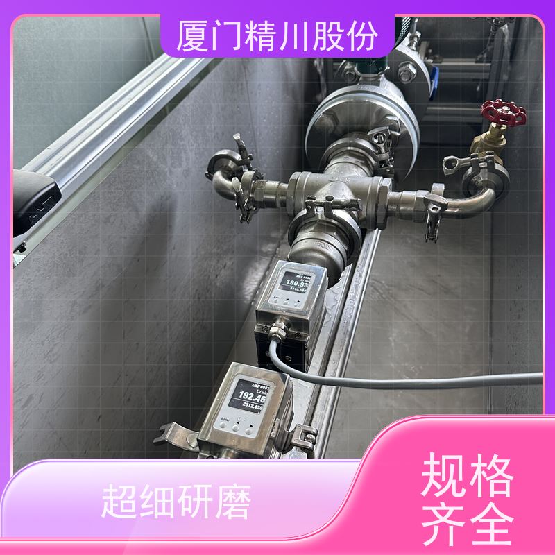 精川股份加药系统药液流量计带接地环经久耐用