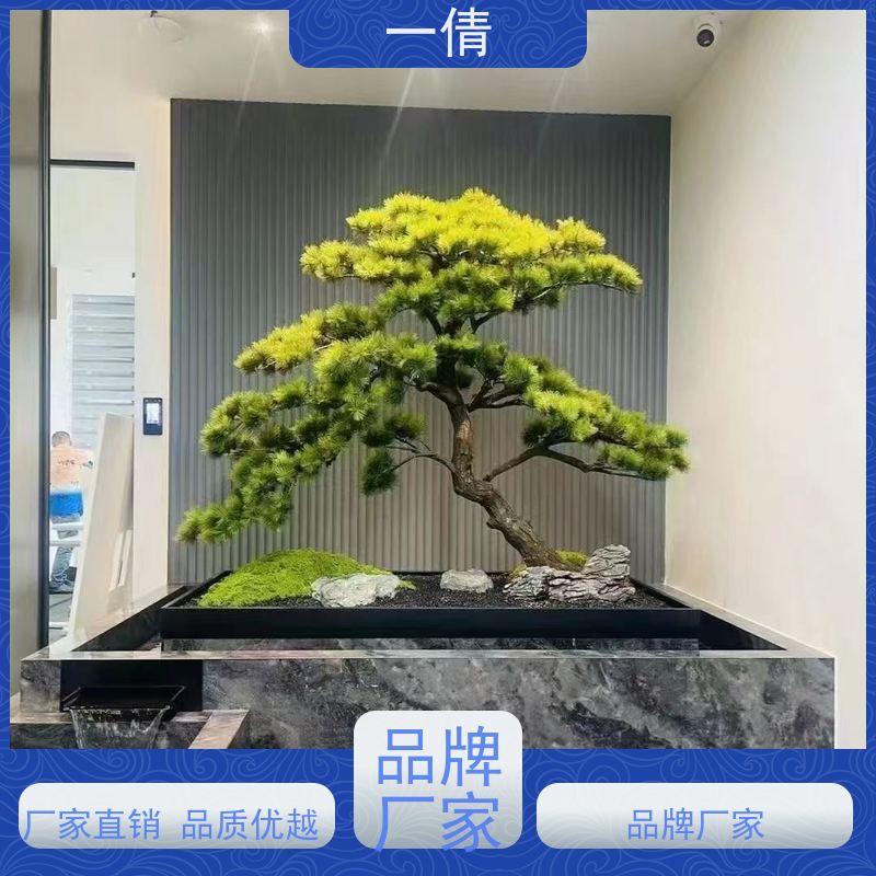 一倩花卉 前台 小年桔盆景 绿植租摆 种类繁多 规格齐全