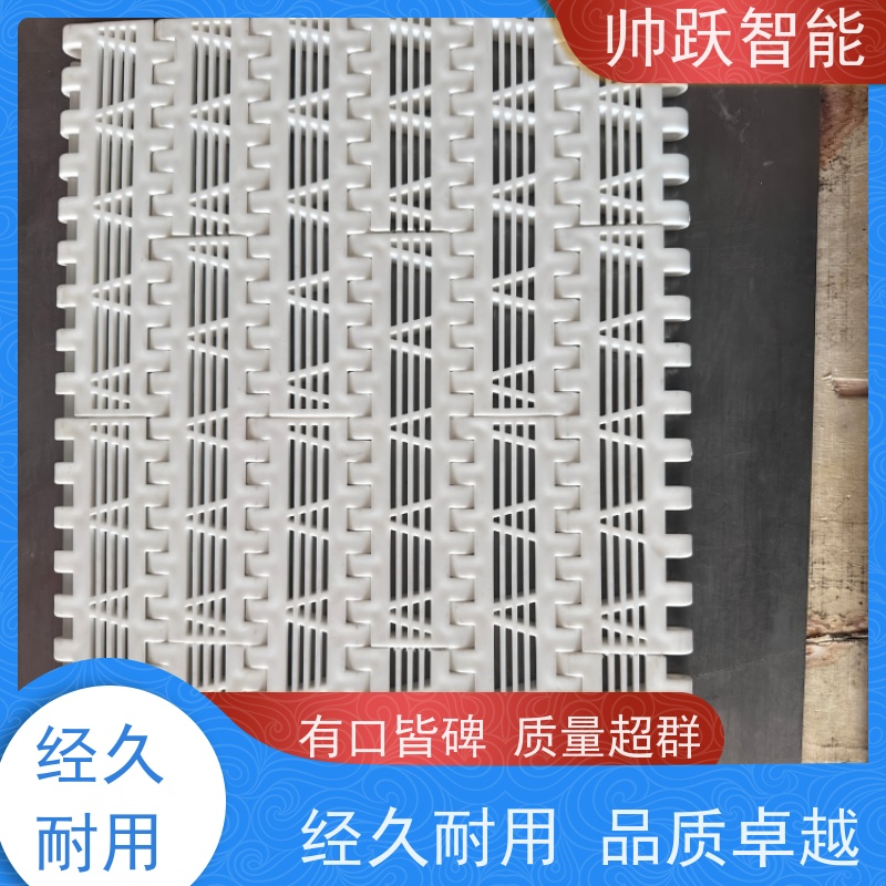 帅跃智能 pp耐高温输送带 瓦楞纸箱塑料链板 适用于工业行业