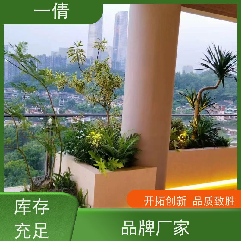 一倩花卉 室内 碧玉 绿植租摆 种类繁多 规格齐全
