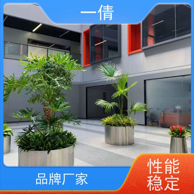 一倩花卉 室内 铁树 绿植租赁 种类繁多 规格齐全