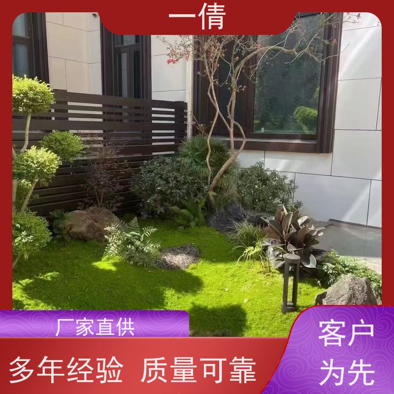 一倩花卉 办公室 绿精灵 绿植租赁 桌面绿植 花木护理