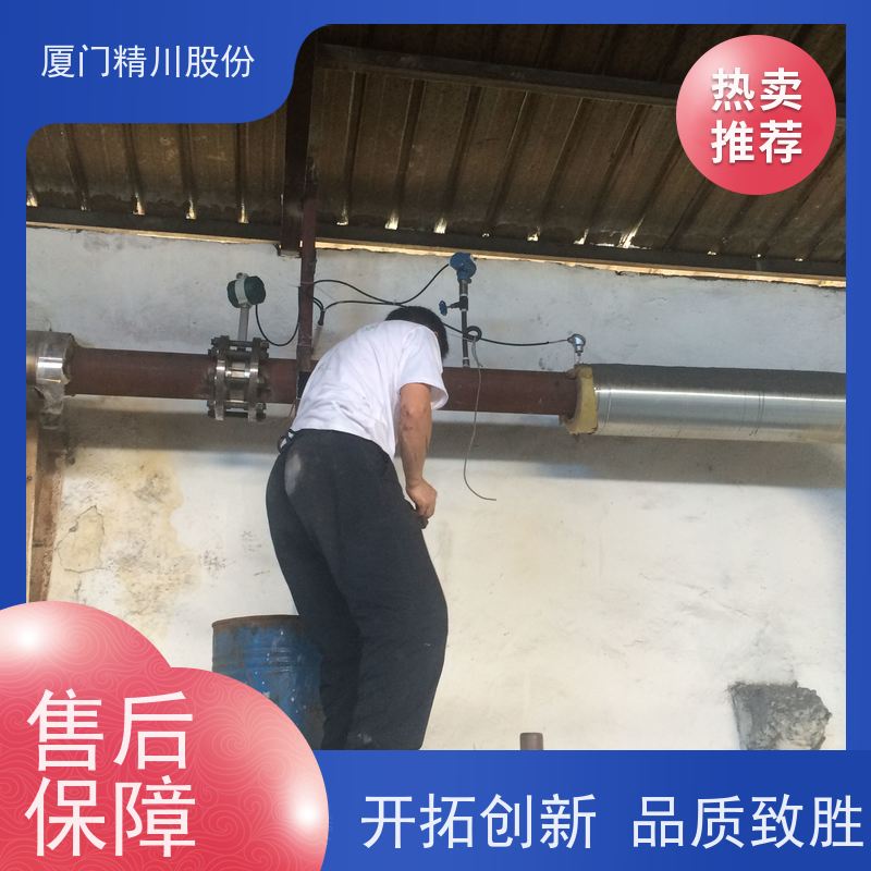 精川股份 制药厂 锅炉蒸汽流量计 一体式温压补偿 服务量少