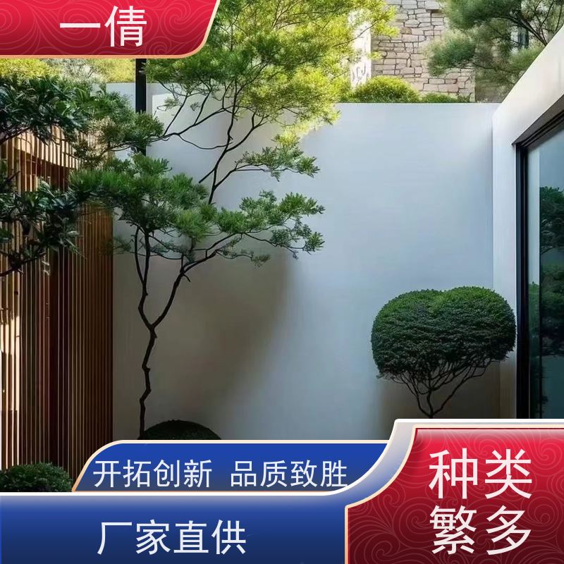 一倩花卉 室内 凤尾竹 绿植租赁 种类繁多 规格齐全