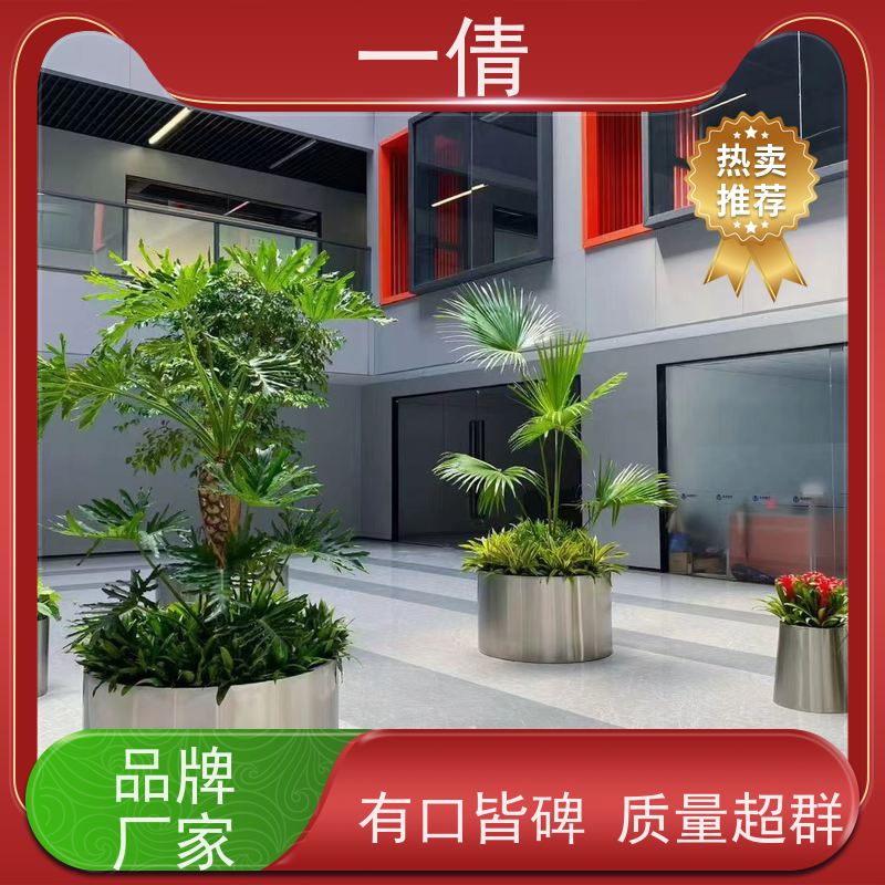 一倩花卉 室内 如意 室内植物出租 全城配送 上门养护