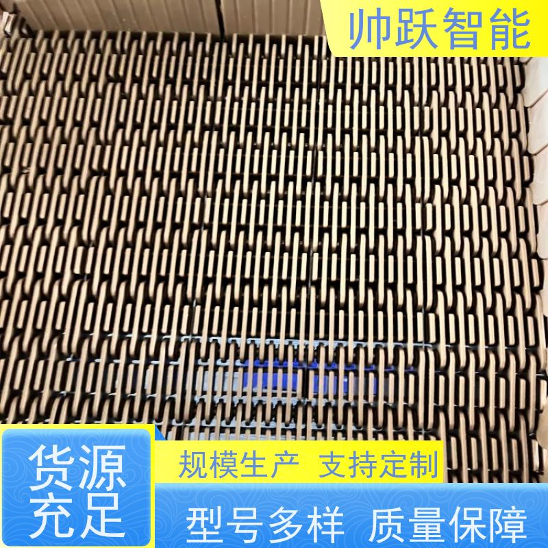 帅跃智能 食品餐具清洗消毒输送带 水产分拣塑料链板 适用于工业行业