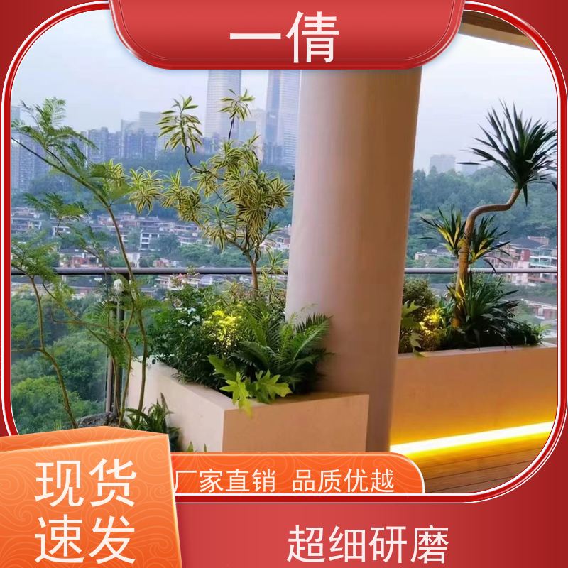 一倩花卉 办公室 墨兰 花卉租赁 全城配送 上门养护
