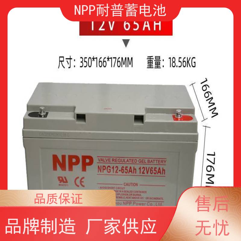 太阳能蓄电池 NPG12-250 适用EPS ups电源 华南区代理 