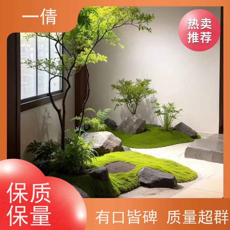 一倩花卉 办公室 佛手 绿植租赁 种类繁多 规格齐全