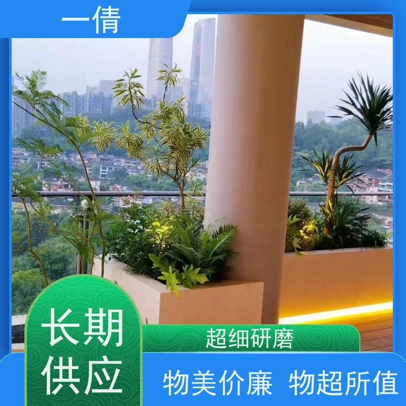 一倩花卉 前台 天堂鸟 花卉租赁 桌面绿植 花木护理