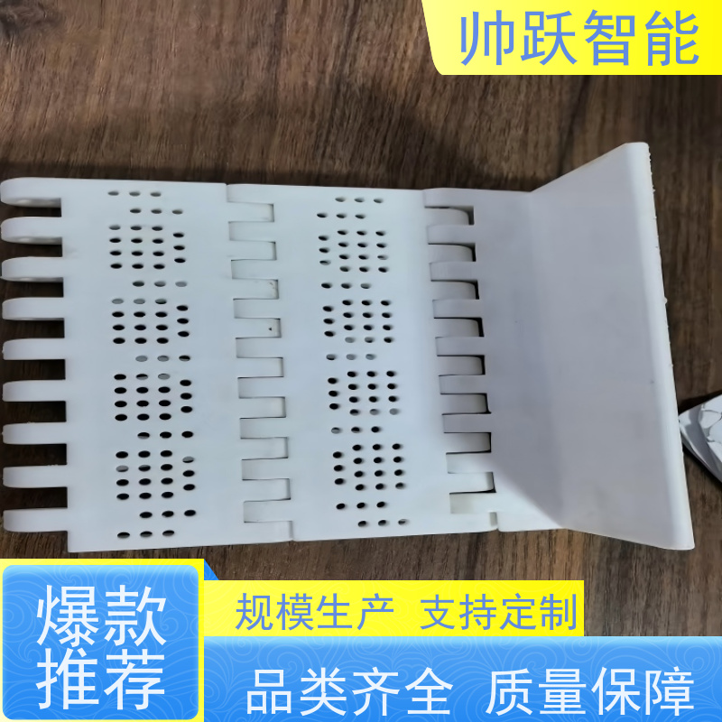帅跃智能 食品输送带经久耐用 转弯机塑料链板 支持加工定制