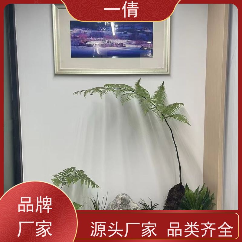 一倩花卉 前台 白掌 室内植物出租 种类繁多 规格齐全