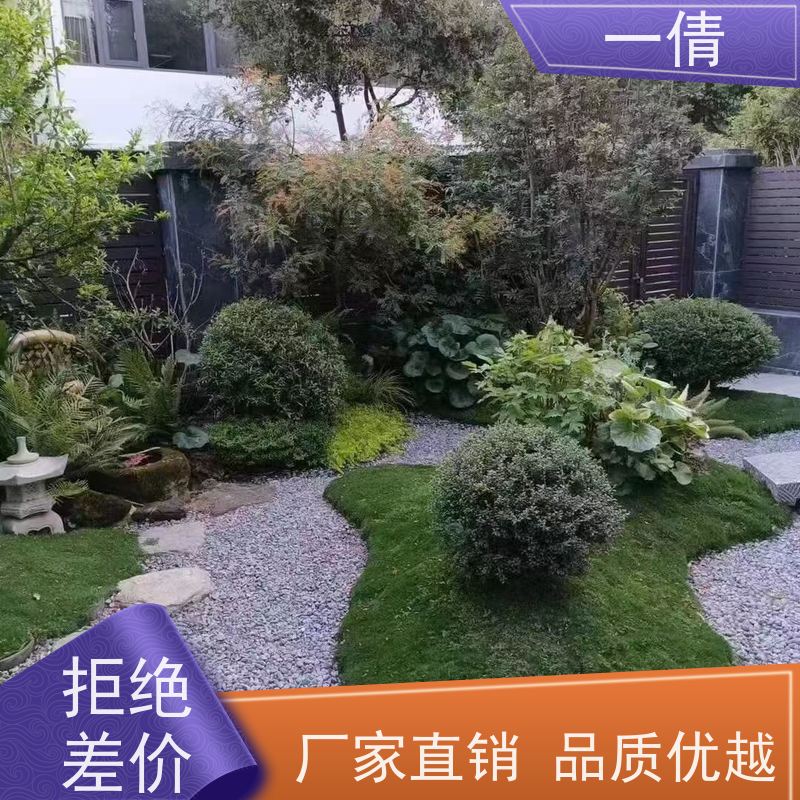 一倩花卉 办公室 红蝴蝶兰 室内植物出租 种类繁多 规格齐全