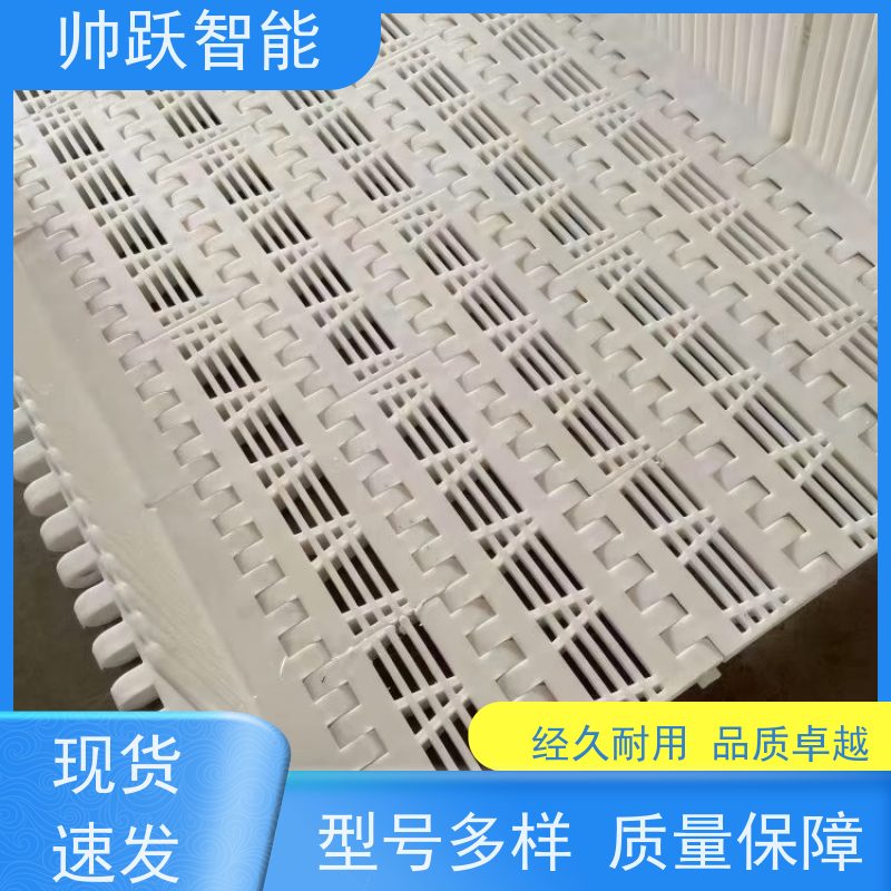 帅跃智能 瓶装灌装食品流水线 转弯机塑料链板 品质可靠 按图定制