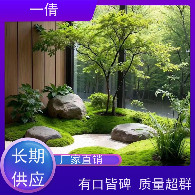 一倩花卉 办公室 7寸盆四季桔 室内植物出租 桌面绿植 花木护理