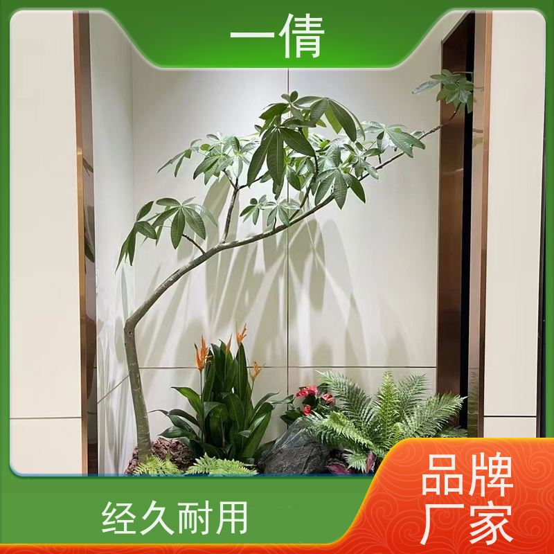 一倩花卉 办公室 橙蝴蝶兰 绿植出售 种类繁多 规格齐全